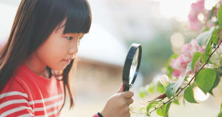 Asian girl hold magnifer and observe leaf carefullyの写真素材