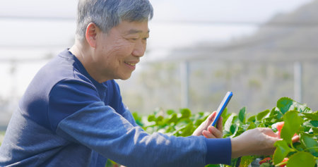 agriculture technology concept-asian senior male agronomist using smart phone to make traceable...