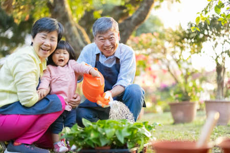 retire couple with grandchild play wateringの写真素材