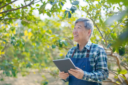 agriculture concept-asian senior farmer man is holding tablet and using apps to design plan in orchardの写真素材