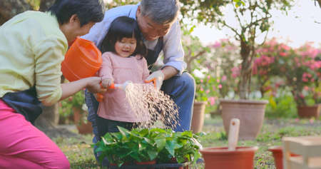 Authentic shot of asian retired grandparent are watering plants with their granddaughter in the gardenの写真素材
