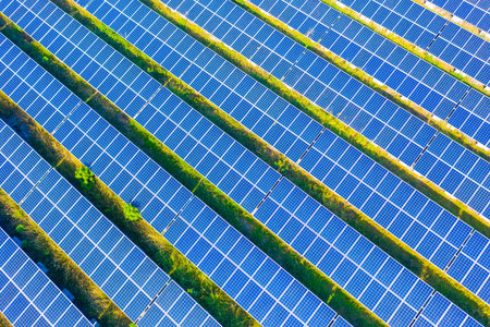 Aerial top down photo of solar panels in farm with green tree and sun lighting reflect-Photovoltaic...