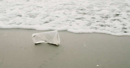 Environmental pollution and disposable plastic cup on beachの写真素材