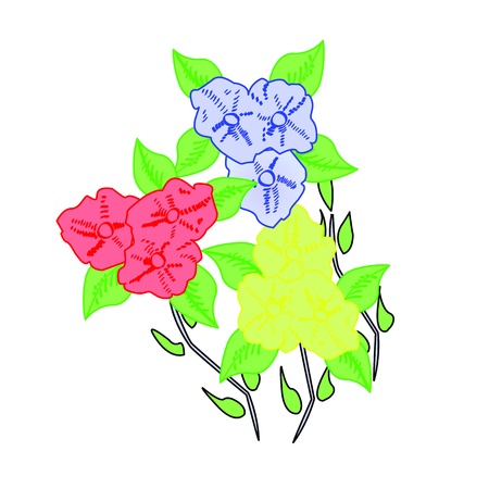 Colourful Illustrated Flowersのイラスト素材