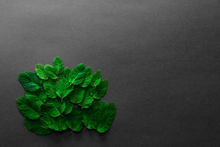 Multiple fresh leafs of peppermint on blue and yellow background with slices of lemonsの写真素材