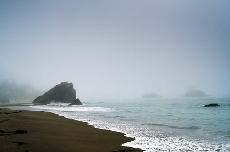 Foggy Coast in Oregonの写真素材