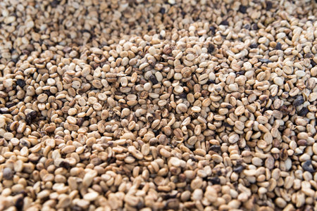 Coffee bean pattern.