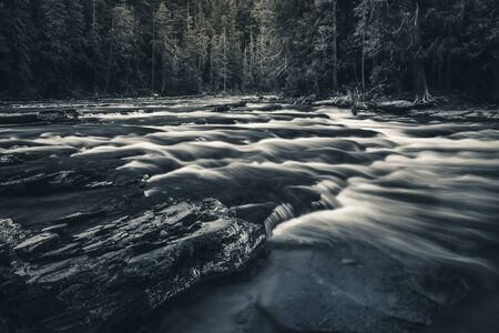 Black and white flowing river.の写真素材