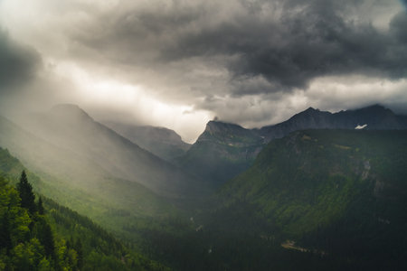 Lush rainy valley in Glacier National Park, Montana.の写真素材