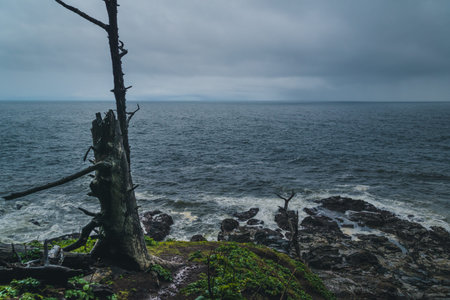 Overcast day at the coast.の写真素材