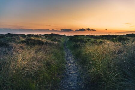 Trail to the beach at sunset.の写真素材