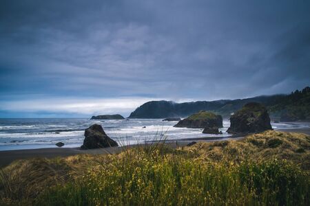 Overcast day on the coast.の写真素材