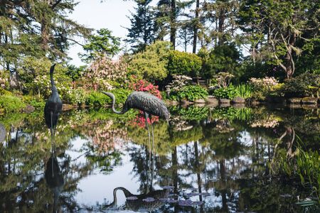 Lush flower garden.の写真素材