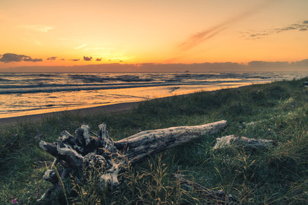 Overlooking the ocean at sunset.の写真素材