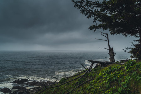 Overcast day at the coast.