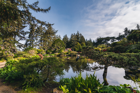 Lush flower garden.の写真素材