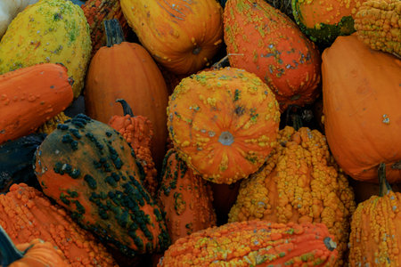 Assorted orange, yellow, and green gourds