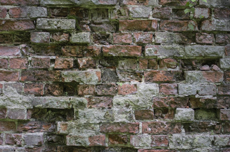 Leftovers of an ancient brick wall