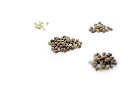 seeds growing and legalizing medicinal marijuana