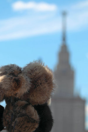 Fur caps  souvenirs for tourists in Russia の写真素材