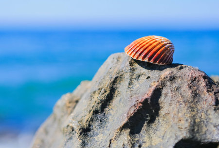 Small sea pebbles background