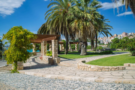 Equipped bus stop. Palm trees, the road from pebbles.の写真素材