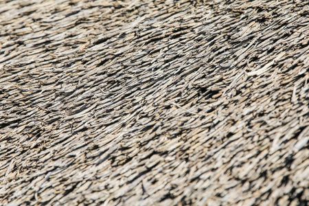 Thatched roofs of traditional African hut in the Sunの写真素材