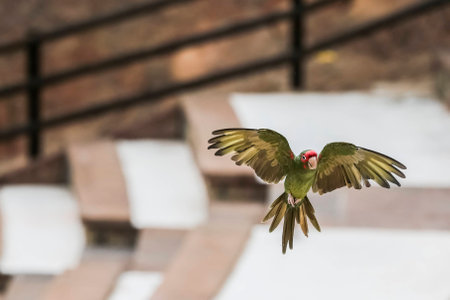 Wildlife, natural habitats in the wild. The summer period.の写真素材