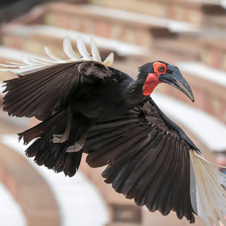 Wildlife, natural habitats in the wild. The summer period.の写真素材