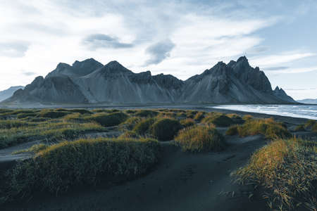 Sunny landscape of Iceland. Gorgeous view on Stokksnes cape and Vestrahorn Mountain with black sand with grass on foreground at summer. Iconic location for landscape photographers. Wonderful natureの写真素材