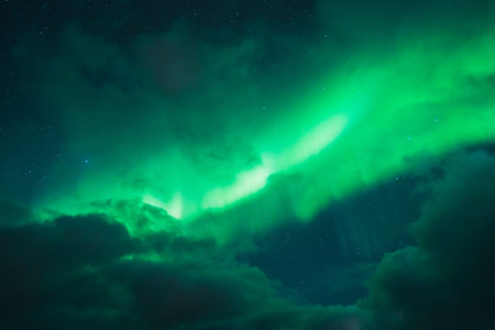 Northern lights known as aurora borealis over the arctic landscape in Norway. High quality photo
