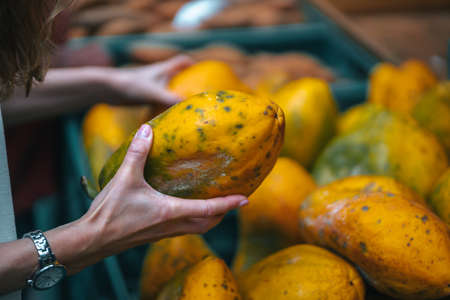 Farmers market Mercado dos Lavradores in Funchal in Madeira Portugal. High quality photoの写真素材