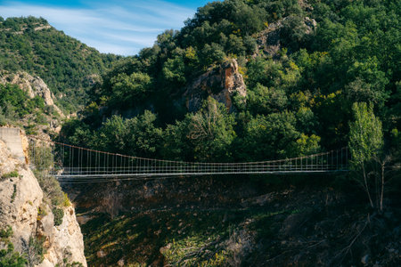 Summer in Congost de montrebei gorge in Spain Catalunya. High quality photoの写真素材