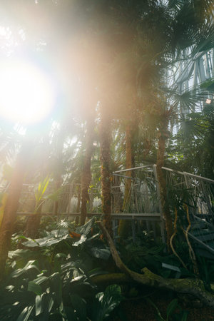 Park Oliwski is Tranquil oasis in Gdansk, Poland, blending historic gardens, charming ponds, and serene pathways for delightful leisure. High quality photoの写真素材