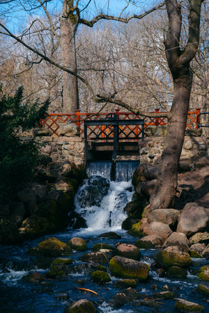 Park Oliwski is Tranquil oasis in Gdansk, Poland, blending historic gardens, charming ponds, and serene pathways for delightful leisure. High quality photoの写真素材