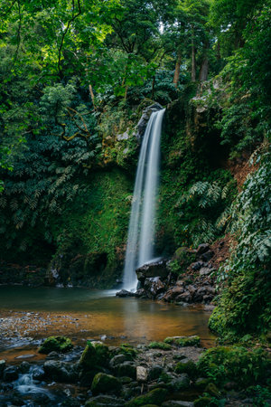 Trilho Moinho do Felix: Embark on a scenic hike in Azores, Portugal, along the Moinho do Felix trail, immersed in natural beauty and tranquility. High quality photoの写真素材