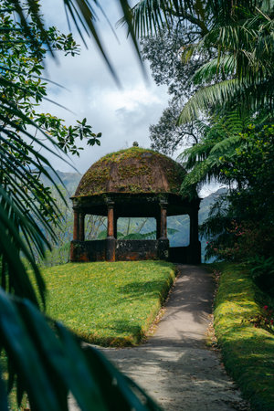 Parque Terra Nostra: A lush botanical garden in Azores, Portugal, where natures beauty flourishes, offering a tranquil oasis for relaxation and exploration. High quality photoの写真素材