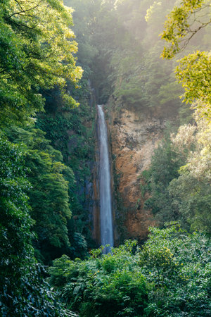 Cascata da Ribeira Quente: Immerse yourself in the beauty of Azores, Portugal, as this waterfall cascades in a picturesque natural setting. High quality photoの写真素材
