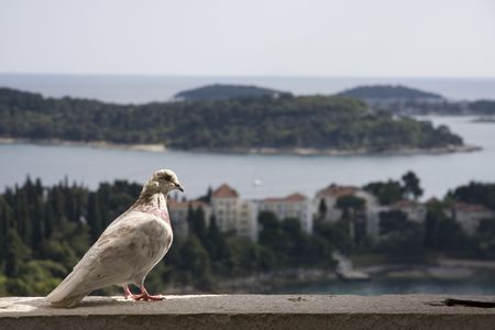 Croatia, Rovinjの写真素材