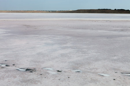 Salt Lake Tobechikskoe. Republic of Crimea.