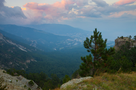 Lonely pine tree among the rocky mountains.の写真素材