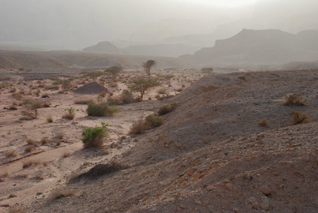 Timna national geological park (Israel) The Mushroom and the half sandstones in the Negev desert