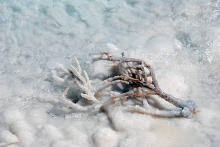 The water of the Dead Sea. Salt crystals on the shore of the Dead Sea. Israel. Salt water evaporates to form beautiful crystals of salt.の写真素材