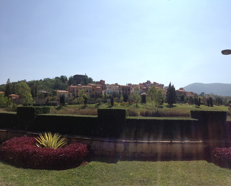 Vineyards at bottom of mountainの写真素材