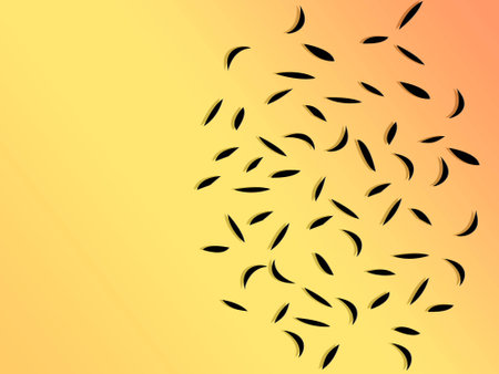 Debris on a textured paper backgroundの写真素材