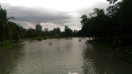 nature tree over the river with reflectionの写真素材