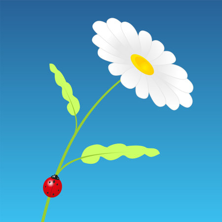 The daisy with the ladybird  のイラスト素材