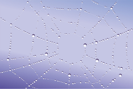 Spider web with water droplets on itのイラスト素材