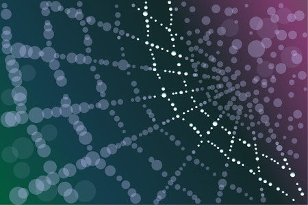 Spider web with water droplets on itのイラスト素材