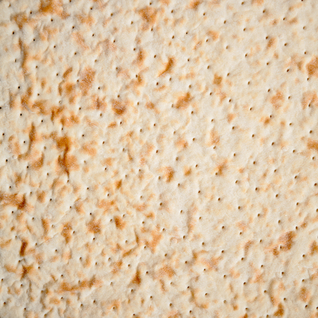 Perforated and Ruddy Pizza Base Close-Up Textureの写真素材